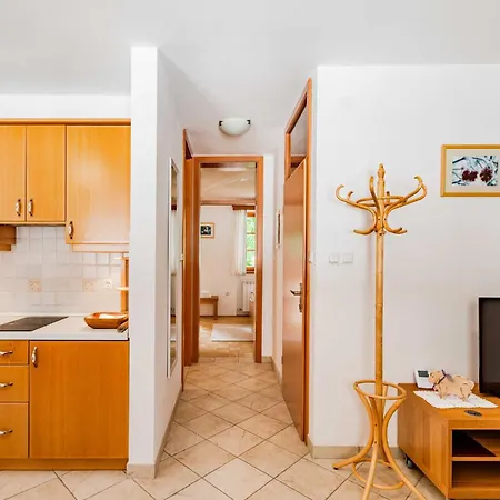 Apartma Miranda Lägenhet Log pod Mangartom
